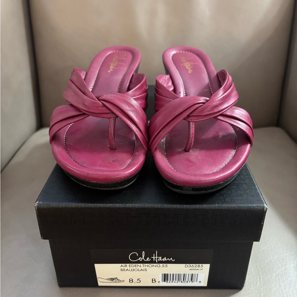 Cole Haan Berry Thong Sandals